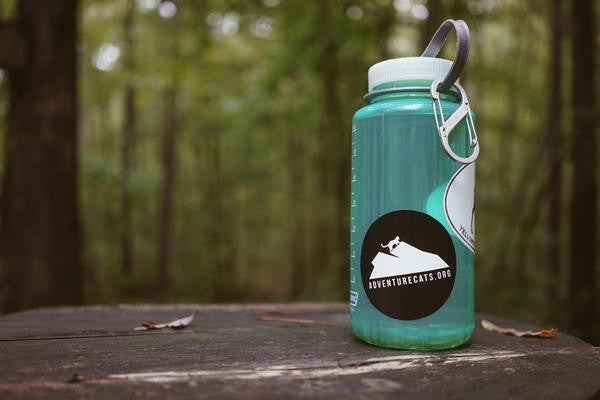 Adventure Cats Stickers